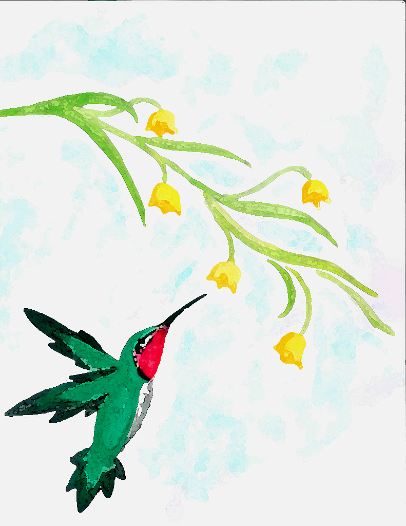 Hummingbird Water Color