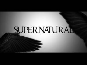 Supernatural Wallpaper Season4