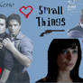 SmallThings Banner