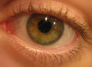 my eye