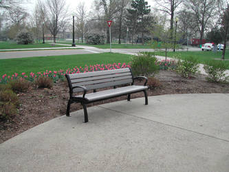 A Park Bench