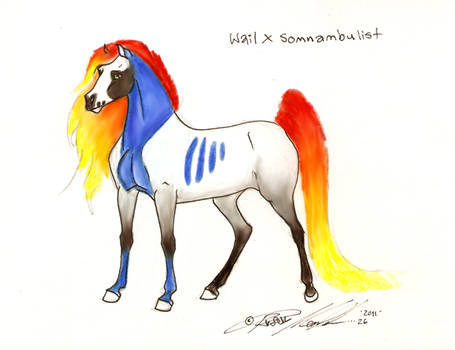 Wail X Somnambulist foal