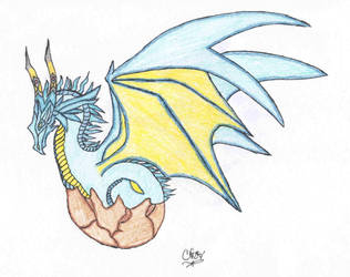 dragon Hatchling