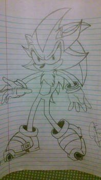 shadic the hedgehog