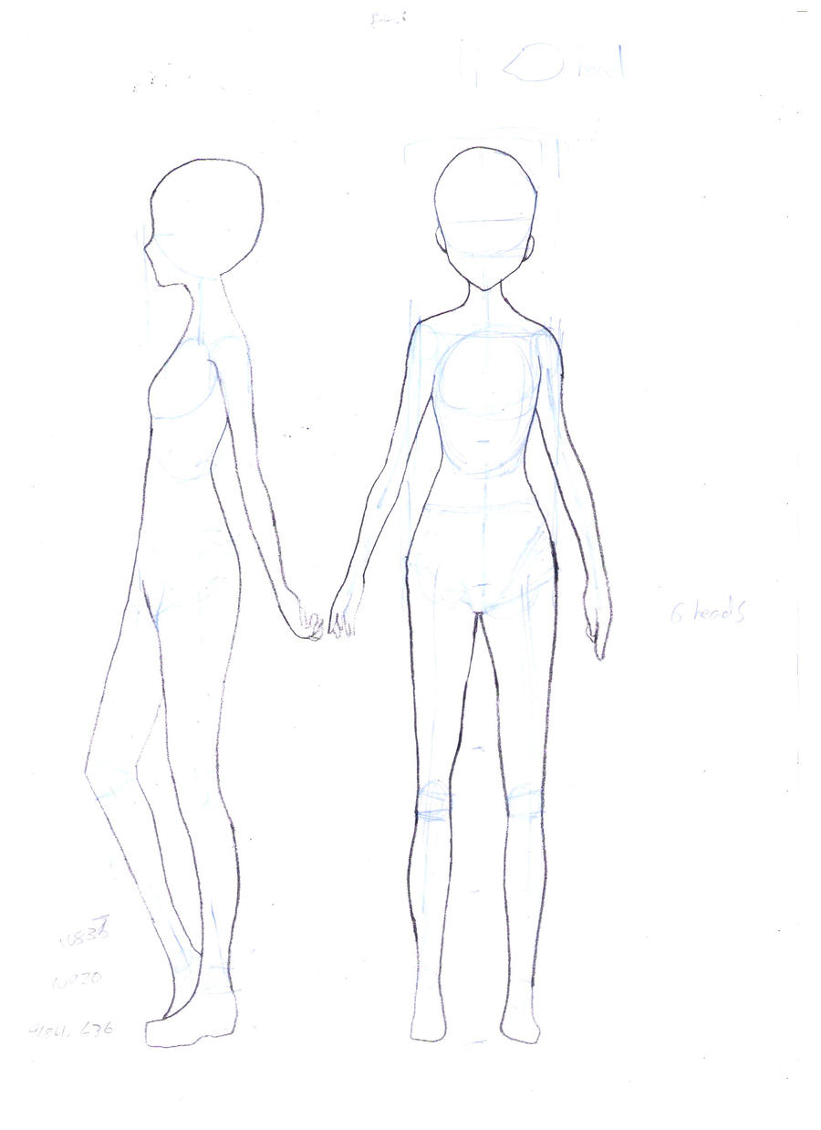 Female body template front and back. Poster