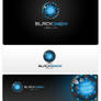 BlackSnowLabs_logo