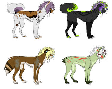 sparkle dogs adopts CLOSE