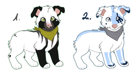 CHEAP Adopts