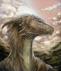 Clouds by Trioza