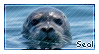 dexjzee-13fb8cc1-71fc-415c-9bee-5a0a231c