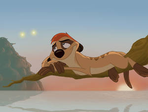 Dreamy Timon