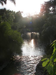 Busch Gardens