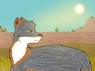 [Prize] Grey fox