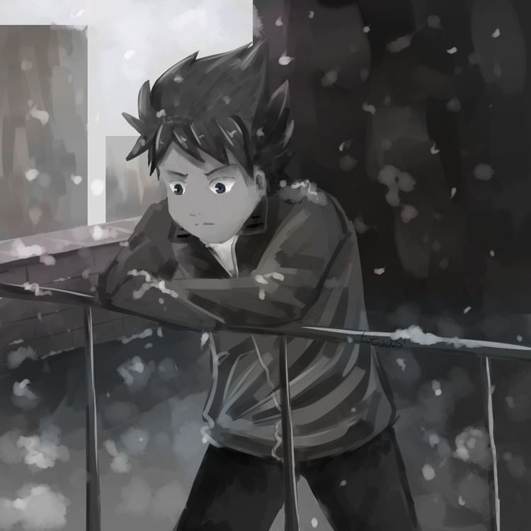 Rooftop Snowfall