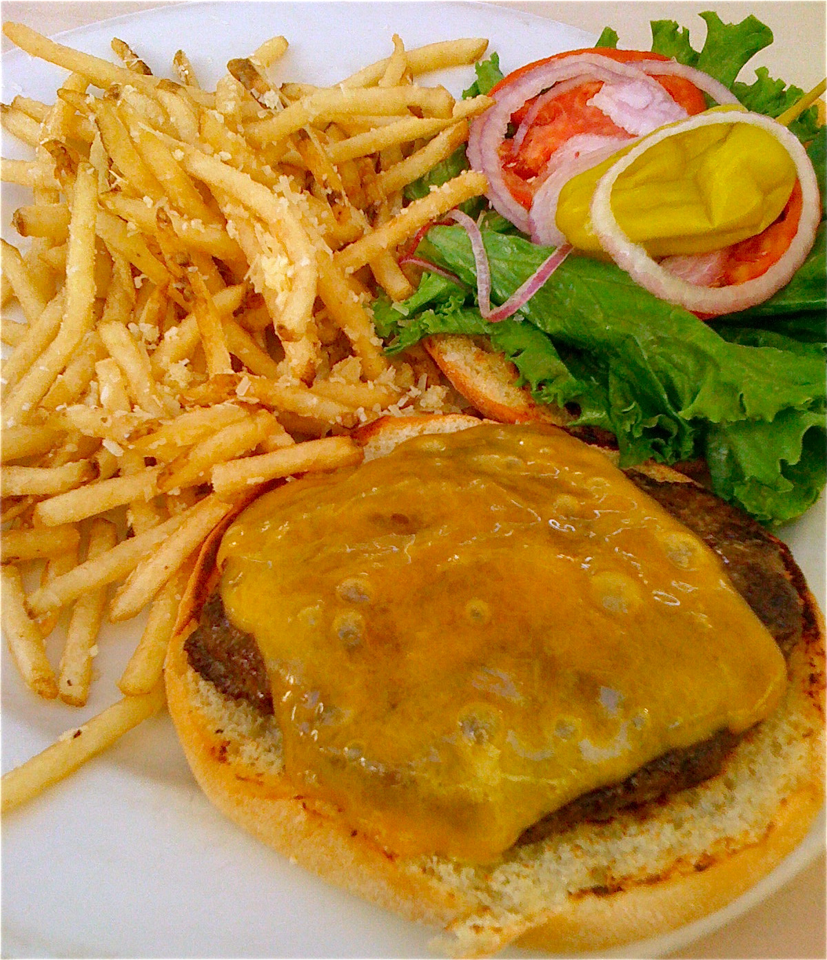 Cheeseburger and Garlic Fries