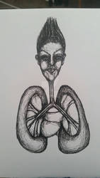 Lungs