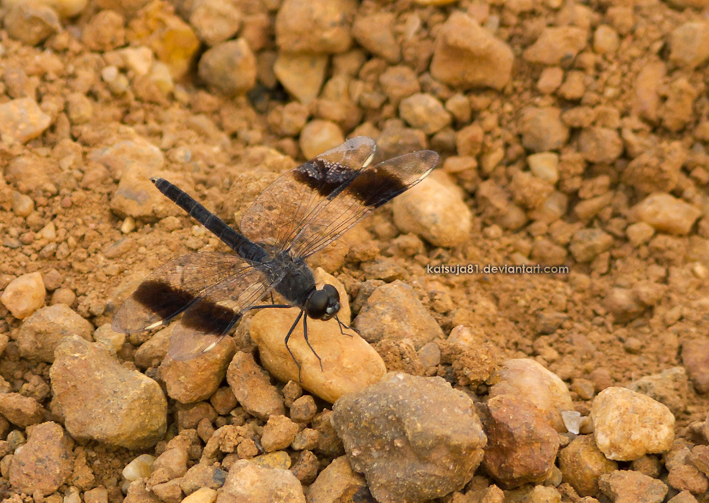 Uganda2011 - 14