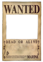 One Piece Wanted Poster