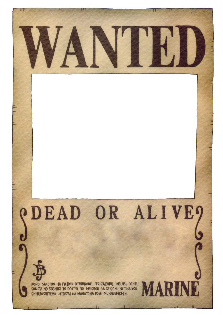 One Piece Wanted Poster