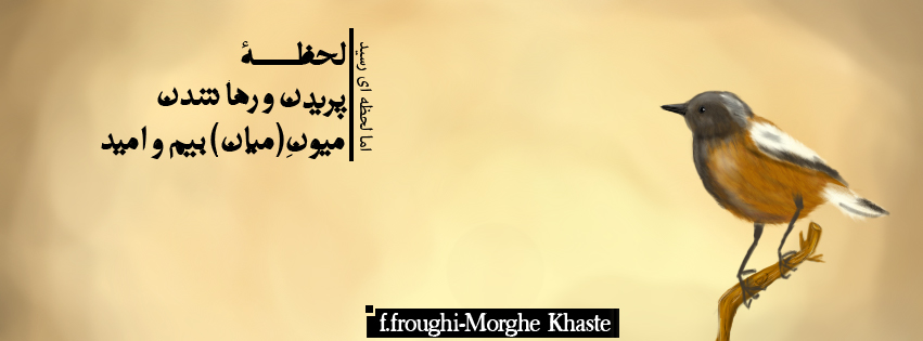 Fb Cover-Foroughi Morghe khaste