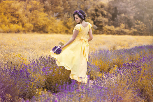 Immortelle Lavender