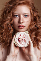 Ginger Rose