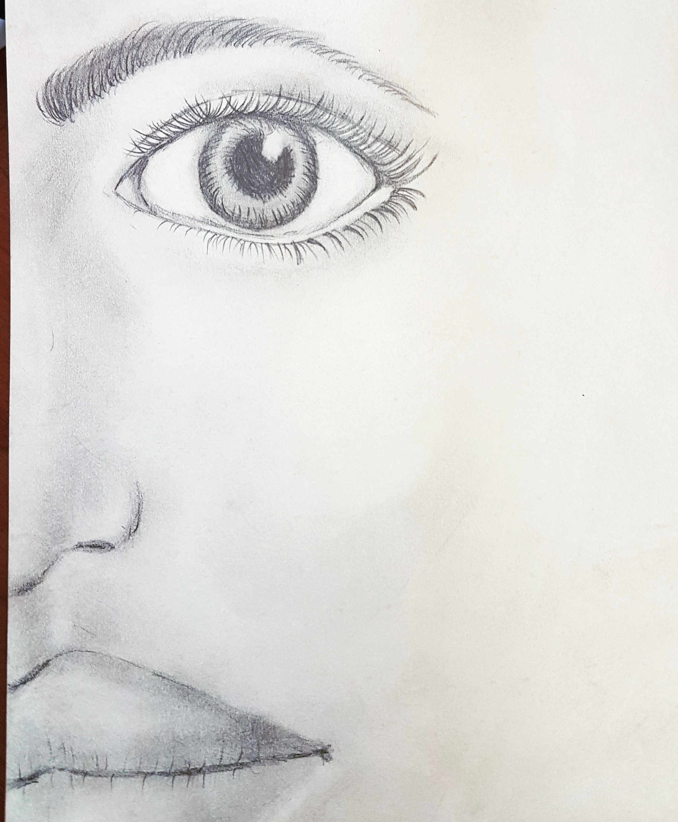 Half Face Pencil Drawing By Beertjie30 On Deviantart Half Face Pencil Drawing By Beertjie30 On Deviantart