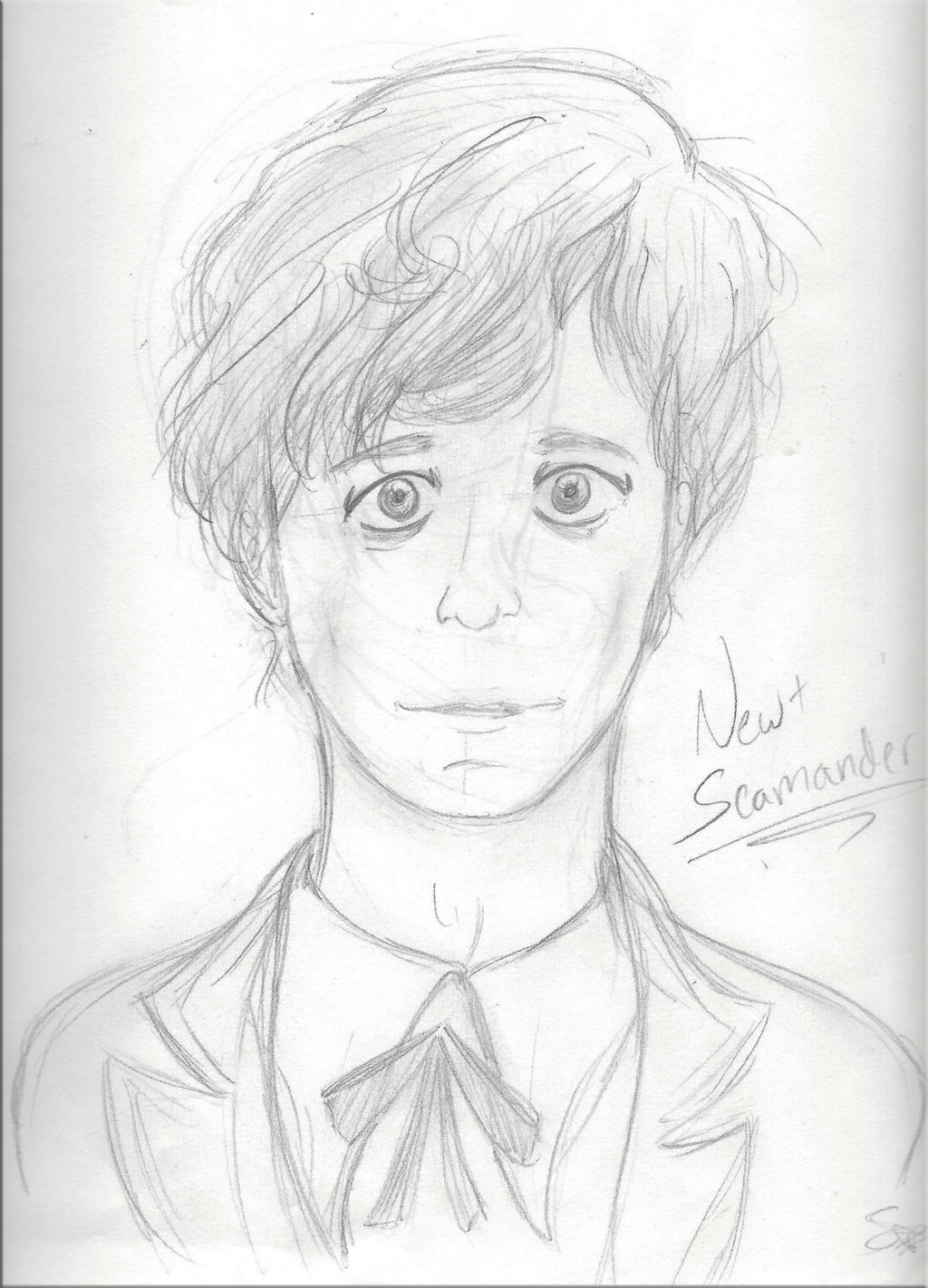 .:Newt Scamander:.