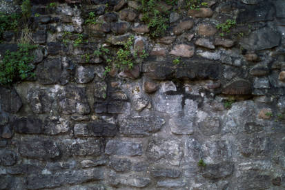 Castle Wall (Stock)