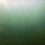 Underwater Stock