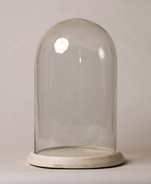 Bell Jar - Free 24mp Stock by jeffkingston