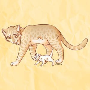 Explore The Best Speckletail Art Deviantart Explore The Best Speckletail Art Deviantart