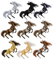 Horse colors