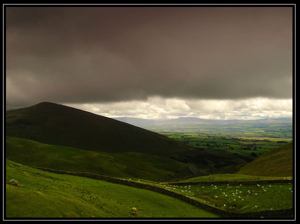 The Coming Storm