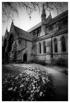 Flowers for the Departed