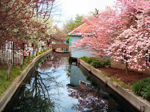 Creek at Holland