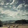 haybales