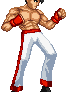 Savate Fighter