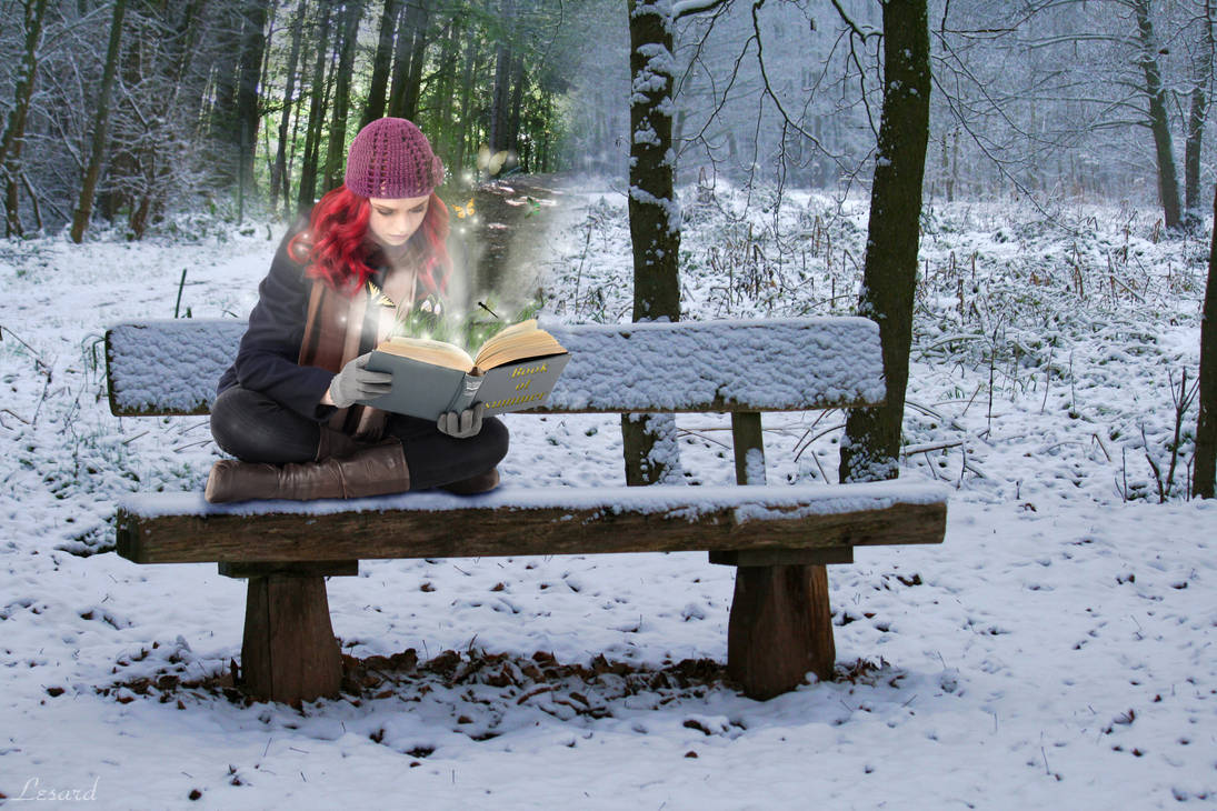 The book of summer by Lesard The book of summer by Lesard