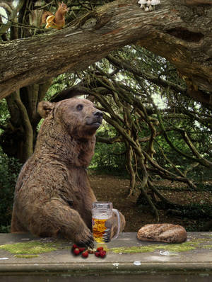 Bear'n'beer by Lesard Bear'n'beer by Lesard
