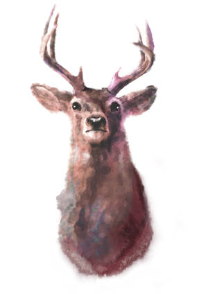Watercolor deer by Lesard