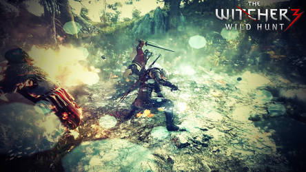 The Witcher 3 wallpaper 4