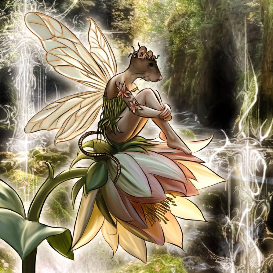 Fariy Rats fairy rat by jaxoswan on DeviantArt