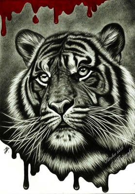 Save the tiger