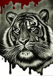 Save the tiger by titol87