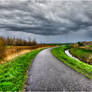 Here comes the Rain