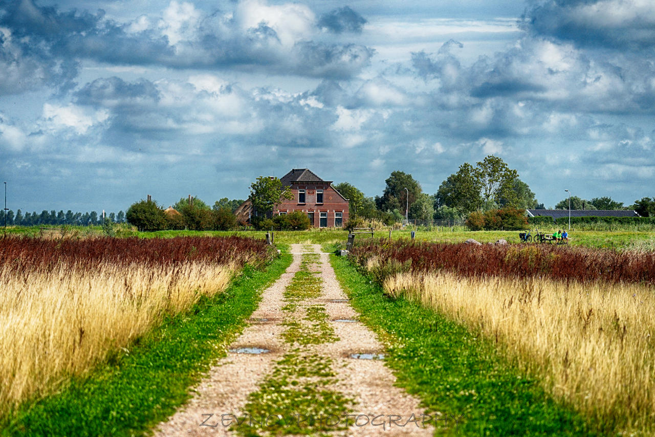 'Back to the Farm'