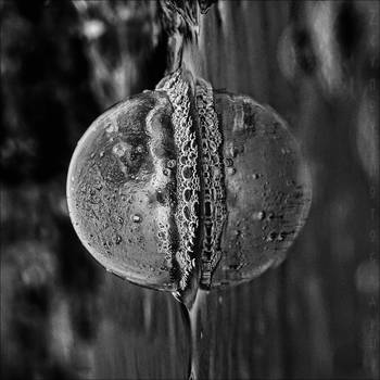'the Bubble'