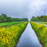 'a Little bit Yellow'