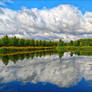 'Wonderful Mirror'